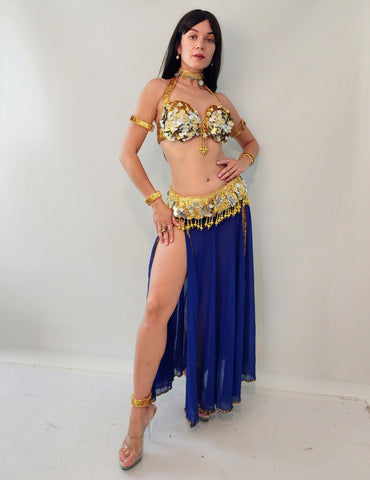 Aida Chiffon Skirt 25412