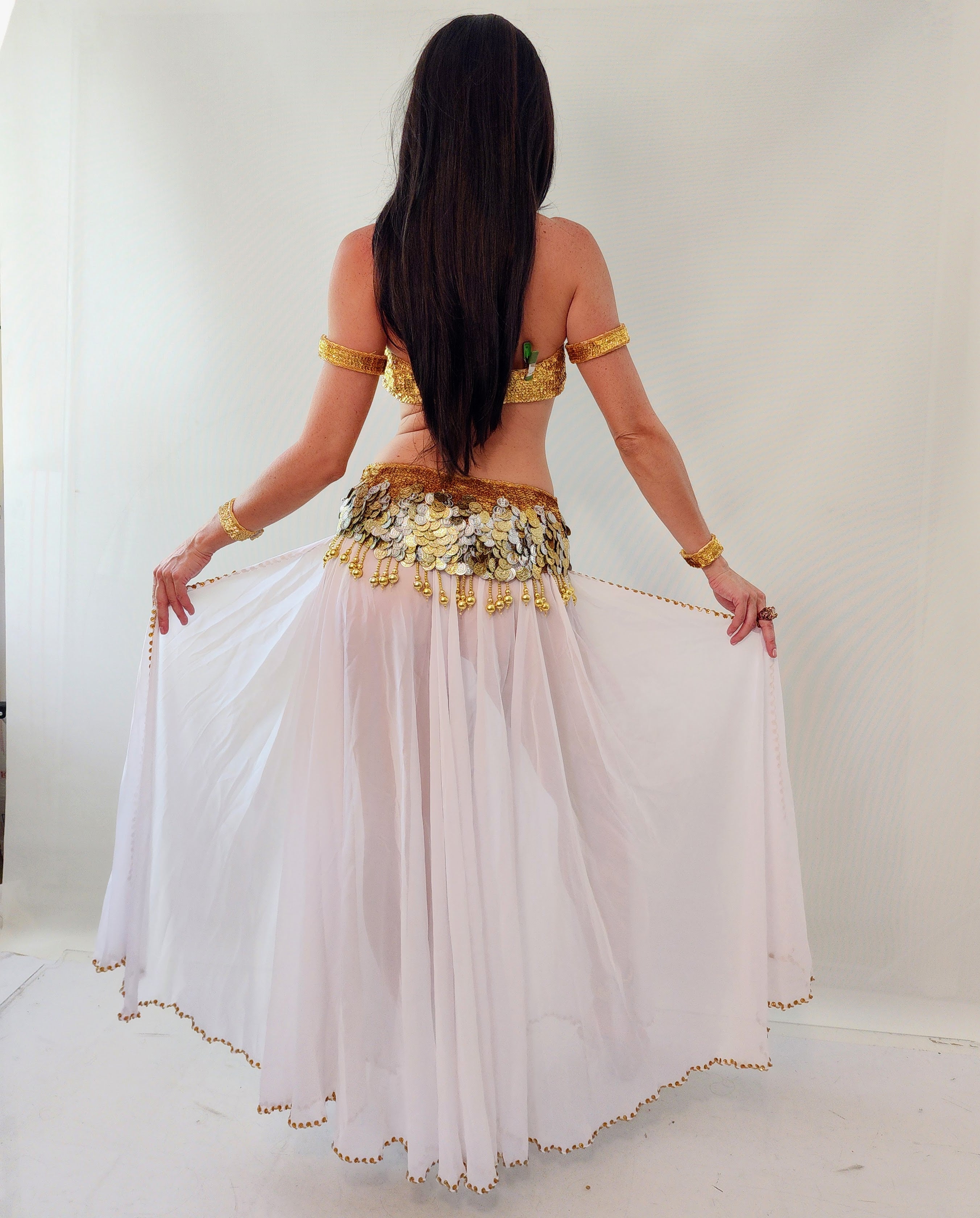 Aida Chiffon Skirt 25411