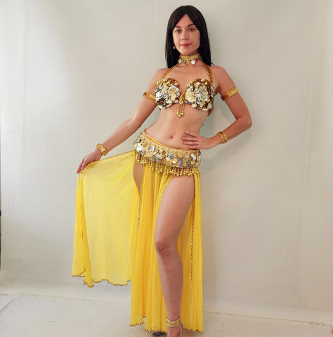 Aida Chiffon Skirt 25410