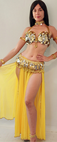 Aida Chiffon Skirt 25410