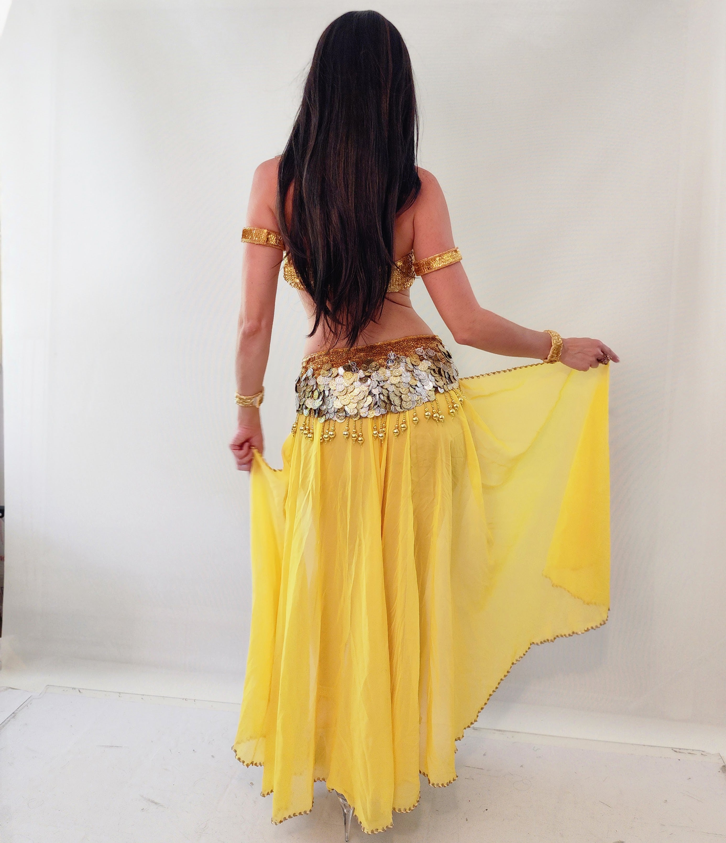 Aida Chiffon Skirt 25410