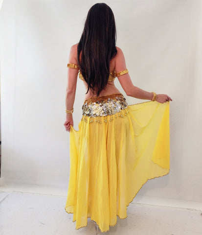 Aida Chiffon Skirt 25410