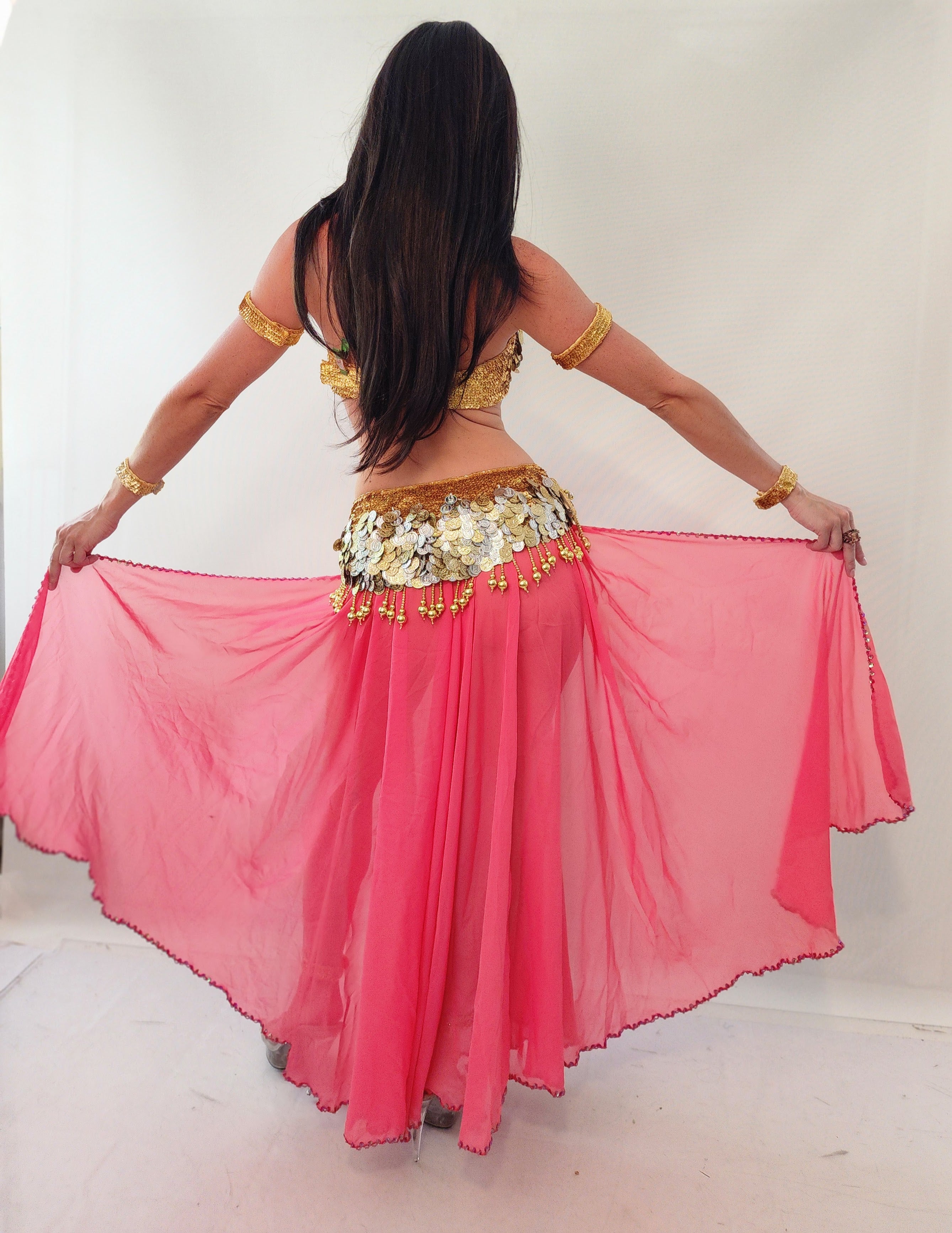 Aida Chiffon Skirt 25409