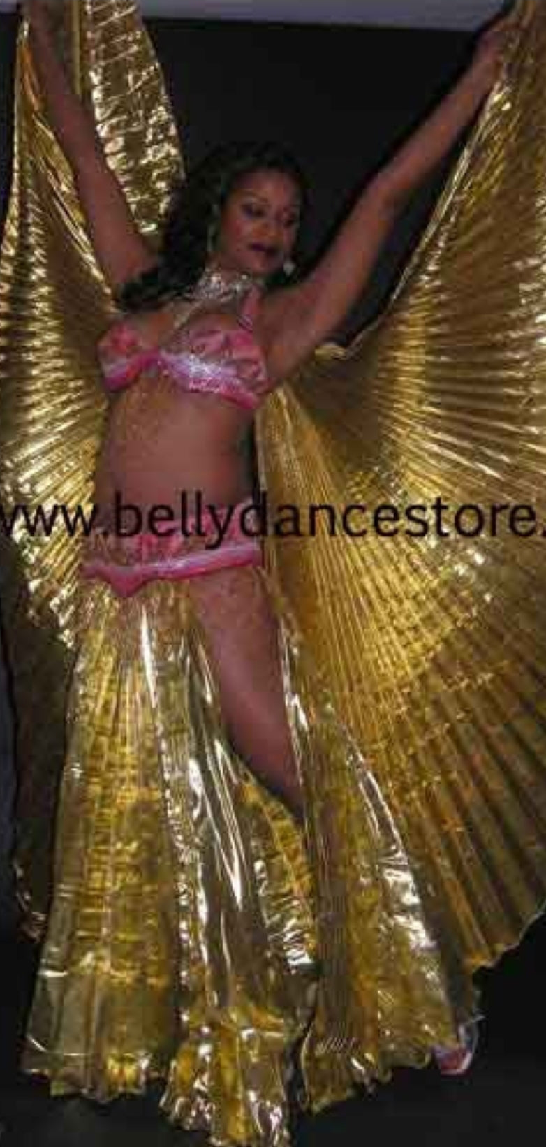 Pleated Skirt and wings set 25263