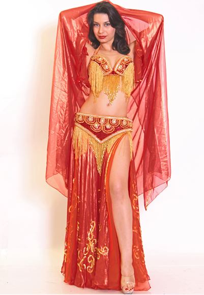 Mumtaz Bra and Belt Set 22705