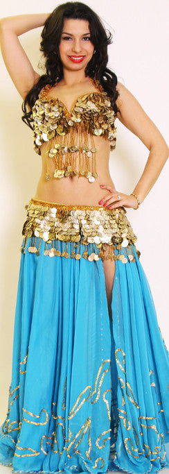 Gold Coin Collection (C)