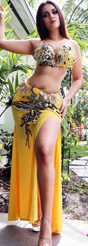 Mumtaz Costume ~ 24050