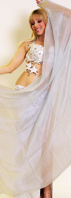 Silver Silk Veil