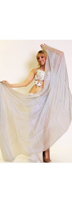 Silver Silk Veil