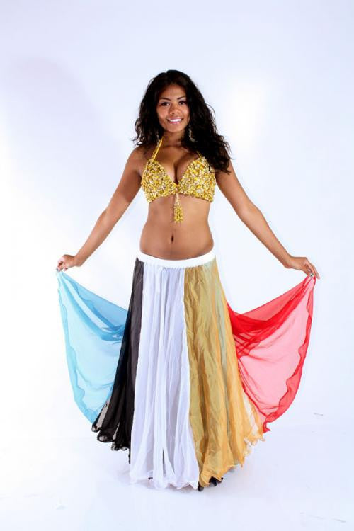 Rainbow Panel Skirt Rainbow Panel Skirt