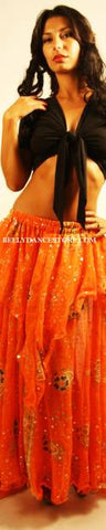 Bollywood Skirt/Veil Set Costume