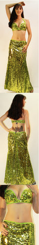 Two Piece Costume