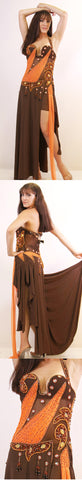 Arabian Nights Dress Costume Sale