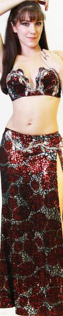 Two-Piece Costume