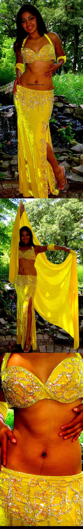 Eman Zaki Tulip Eman Zaki Tulip