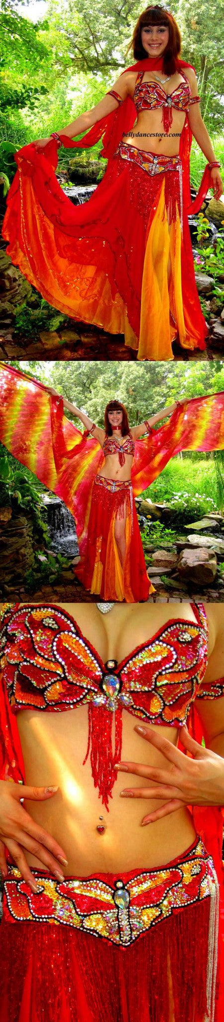 Pharaonics of Egypt Butterfly