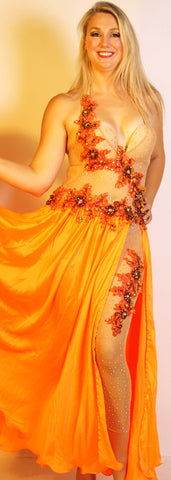 Venus 23691
