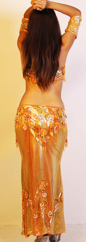 Egyptian Bloom Costume 23803