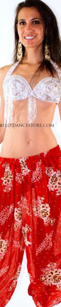 Bollywood Pants Costume
