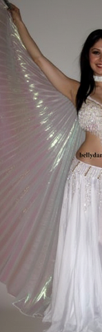 Iridescent Wings 1205