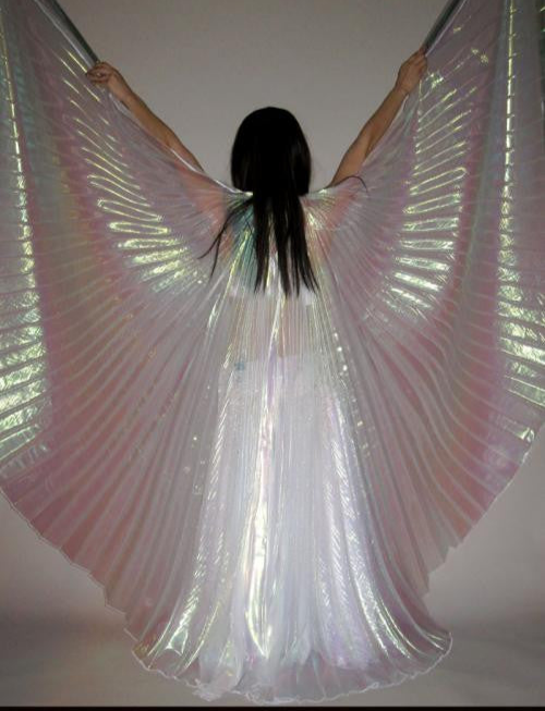 Iridescent Wings