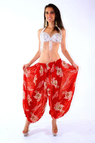 Bollywood Pants Costume