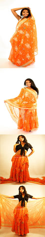 Bollywood Skirt/Veil Set Costume