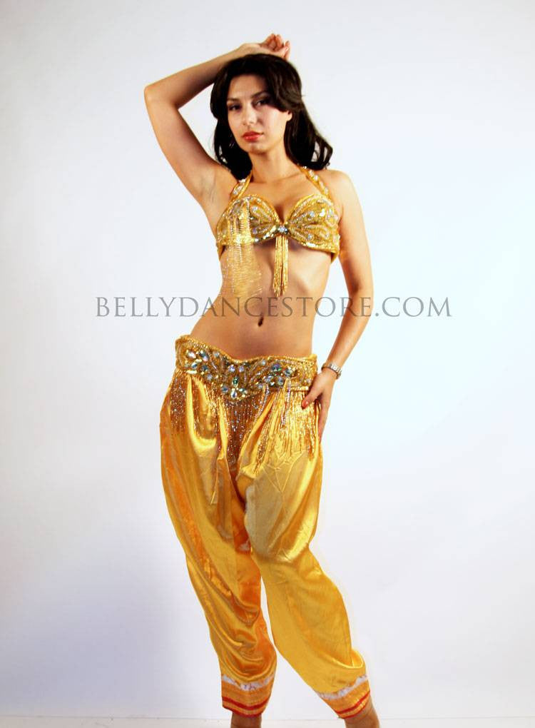 Gold Coin Belly Dance Harem Pants for Women  The Dance Bible