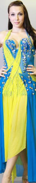 Arabian Nights Dress Costume Sale bellydancestore